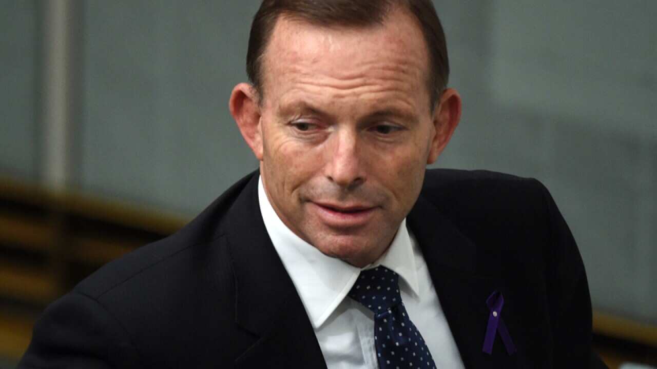 Former prime minister Tony Abbott