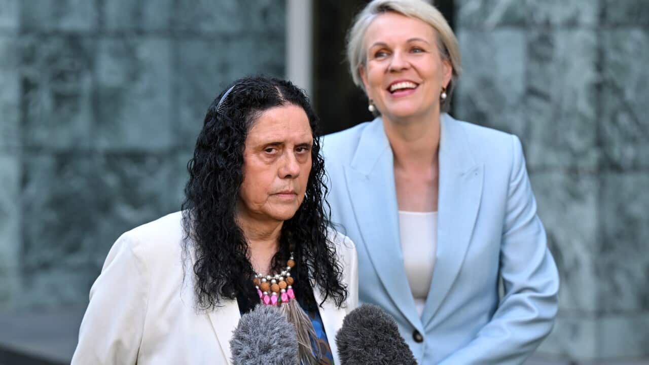 TANYA PLIBERSEK PRESSER