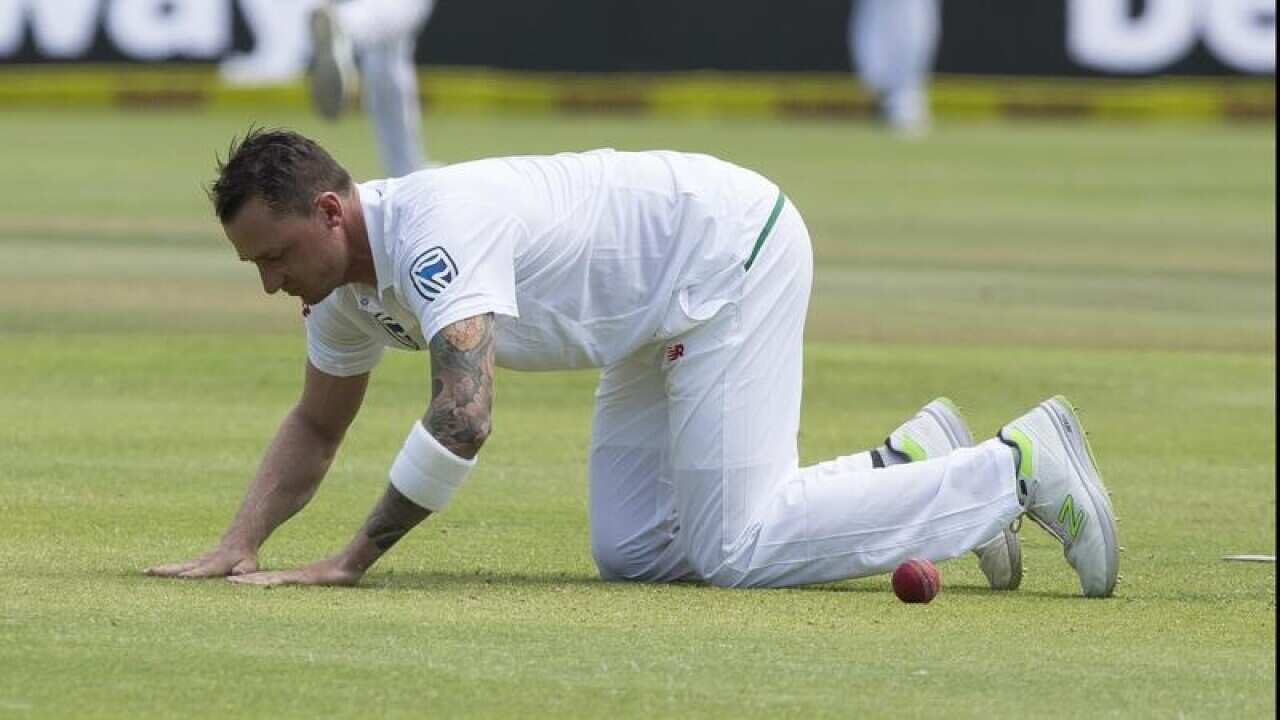 Dale Steyn.