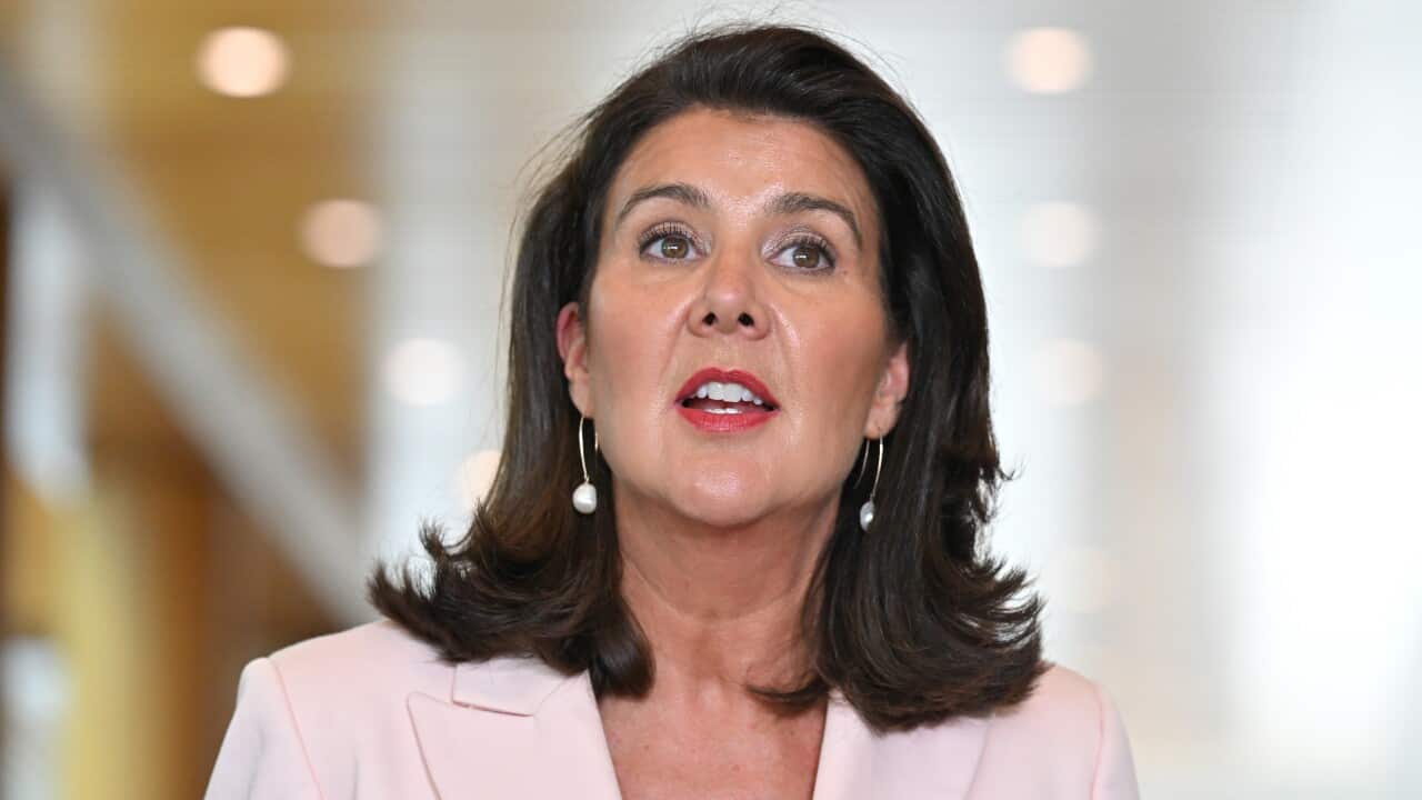 Opposition finance spokeswoman Jane Hume addressing the media