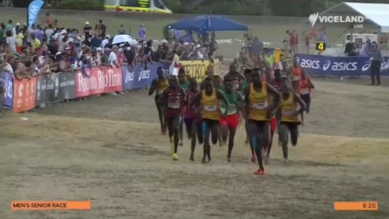 Image for read more article 'WATCH MORE FROM THE CROSS COUNTRY WORLD CHAMPIONSHIPS'