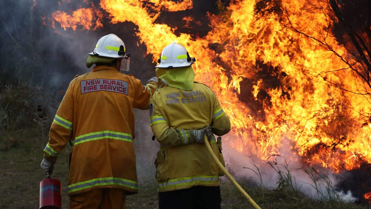Firefighters battle bushfires in northern NSW. There's fears ash from the fires will contaminate drinking water.