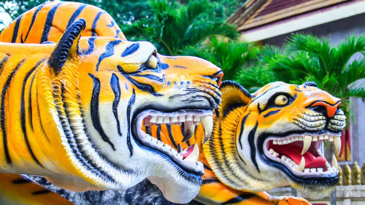 Pinoy Trivia Tuesdays, SBS Filipino, Trivia, Pinoy