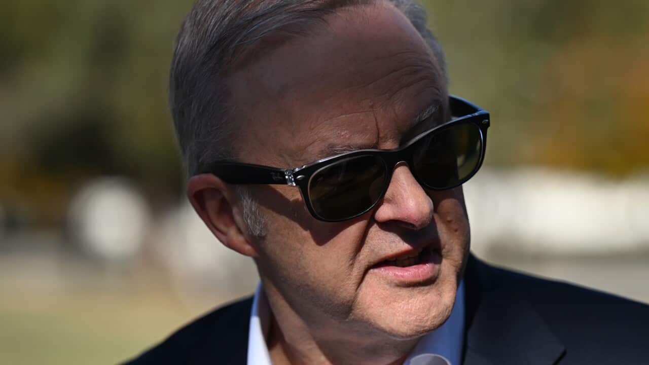 ‘Looking down from heaven’: Anthony Albanese discusses mother with Pope Leo ‘Looking down from heaven’: Anthony Albanese discusses mother with Pope Leo