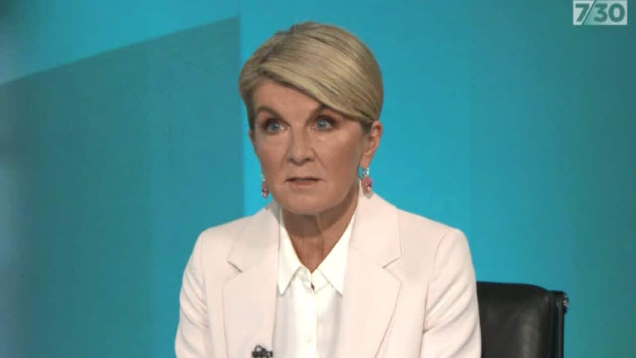 Ex-deputy Liberal leader Julie Bishop .