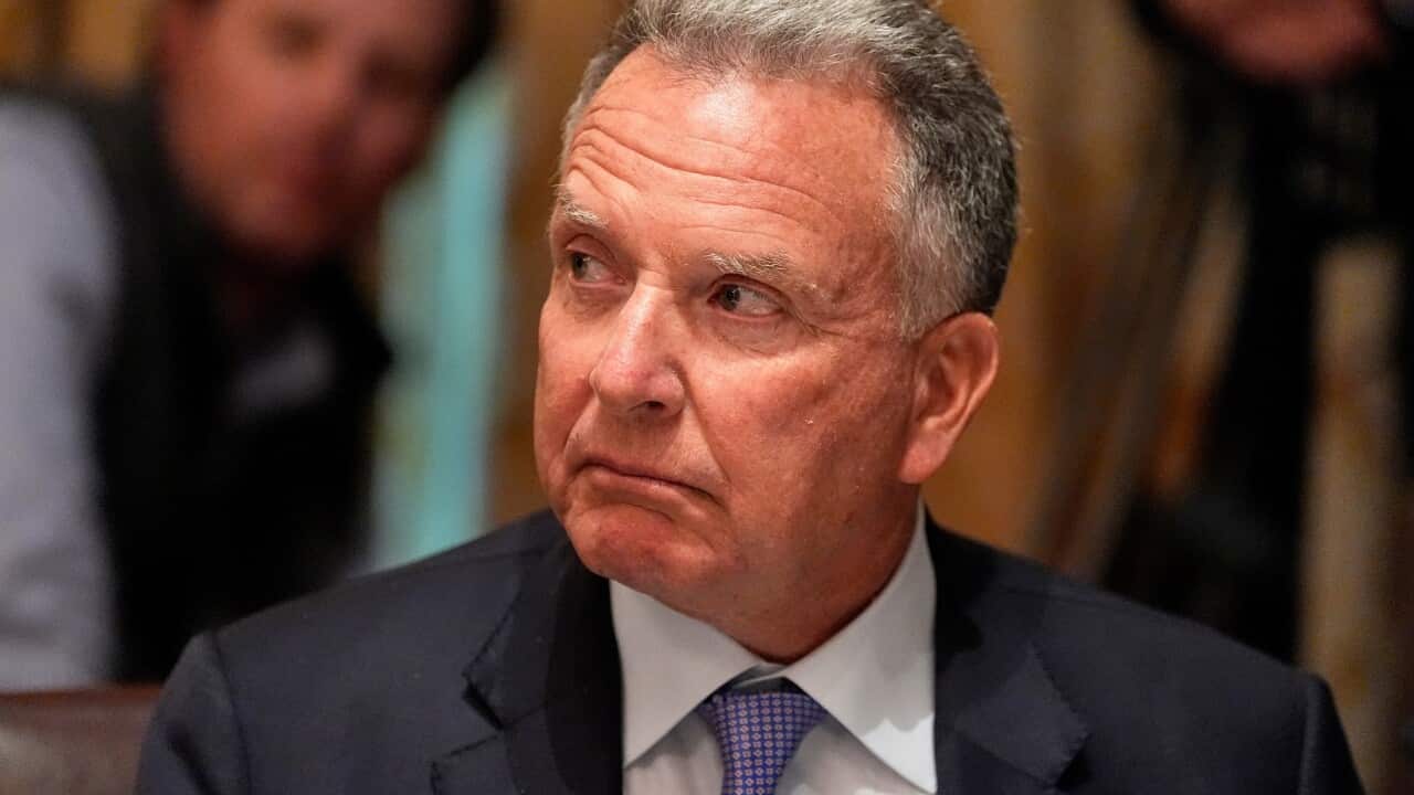 Donald Trump,Volodymyr Zelenskyy