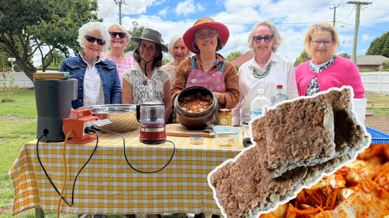 SBS 코리안 태즈매니아 한인사회 관련 이미지