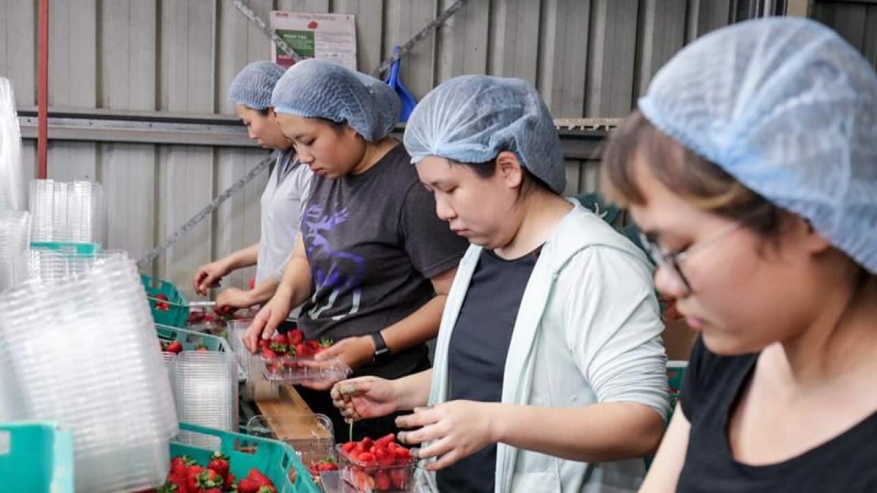 Image for read more article 'READ MORE'