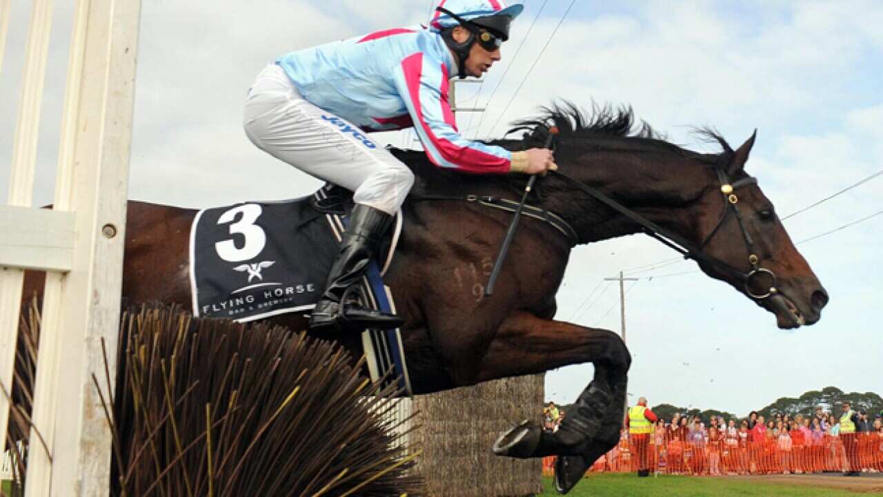 horse_jumping_L_110506_aap_794899063