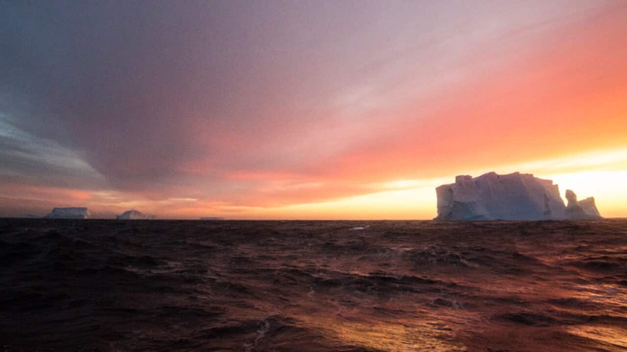 Chill Seekers: Freediving In Antarctica