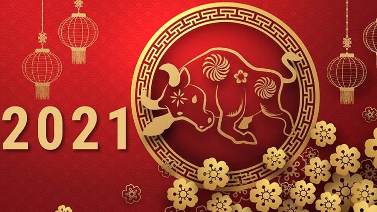 2021 Year of Buffalo