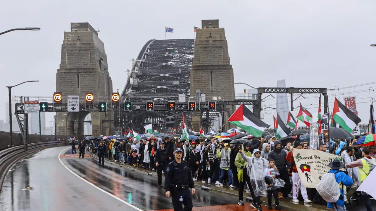 Protesters march across the Sydney Harbour Bridge during the