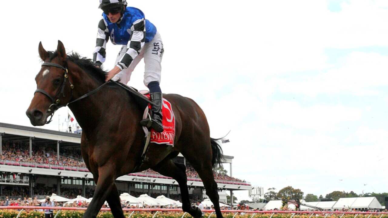 Ryan Moore and Protectionist win the 2014 Melbourne Cup