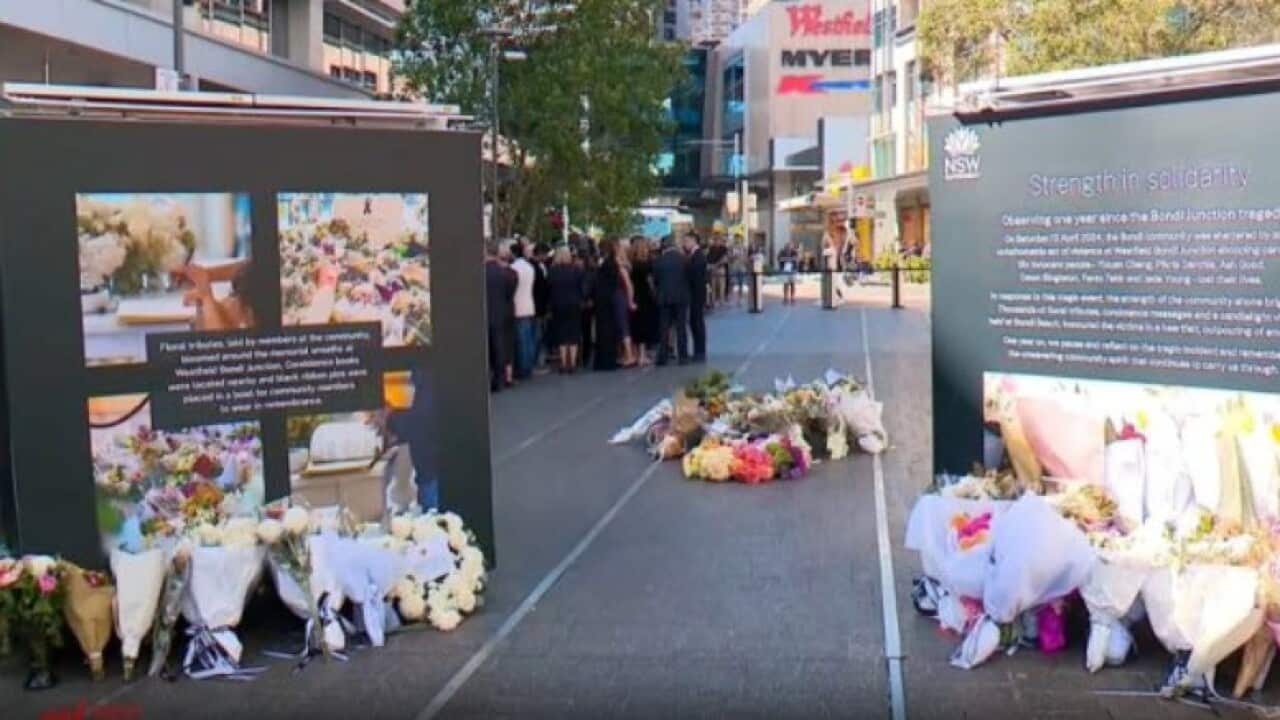 Bondi inquest SBS World News.jpg