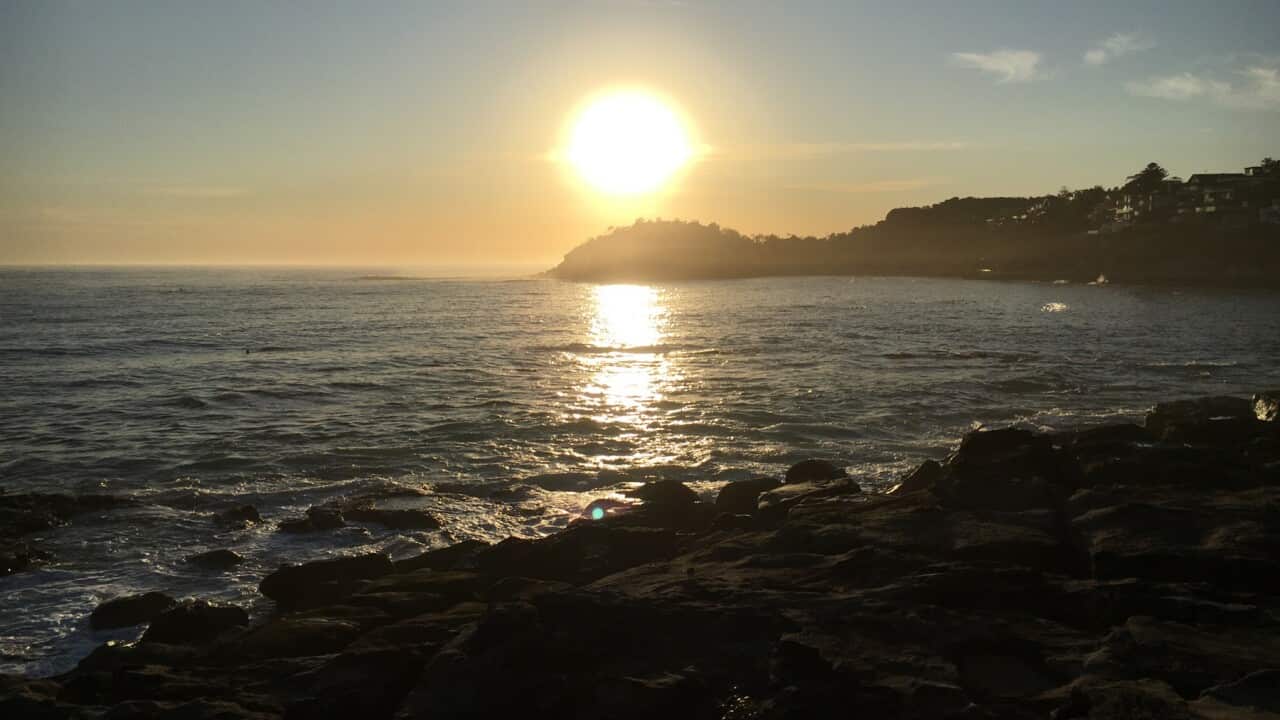 Sunny march morning at Manly beach