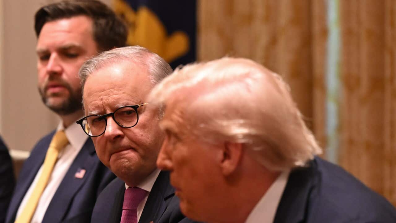 ANTHONY ALBANESE US VISIT