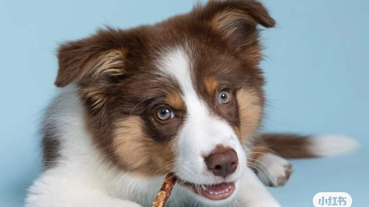 Image for read more article '阅读更多'