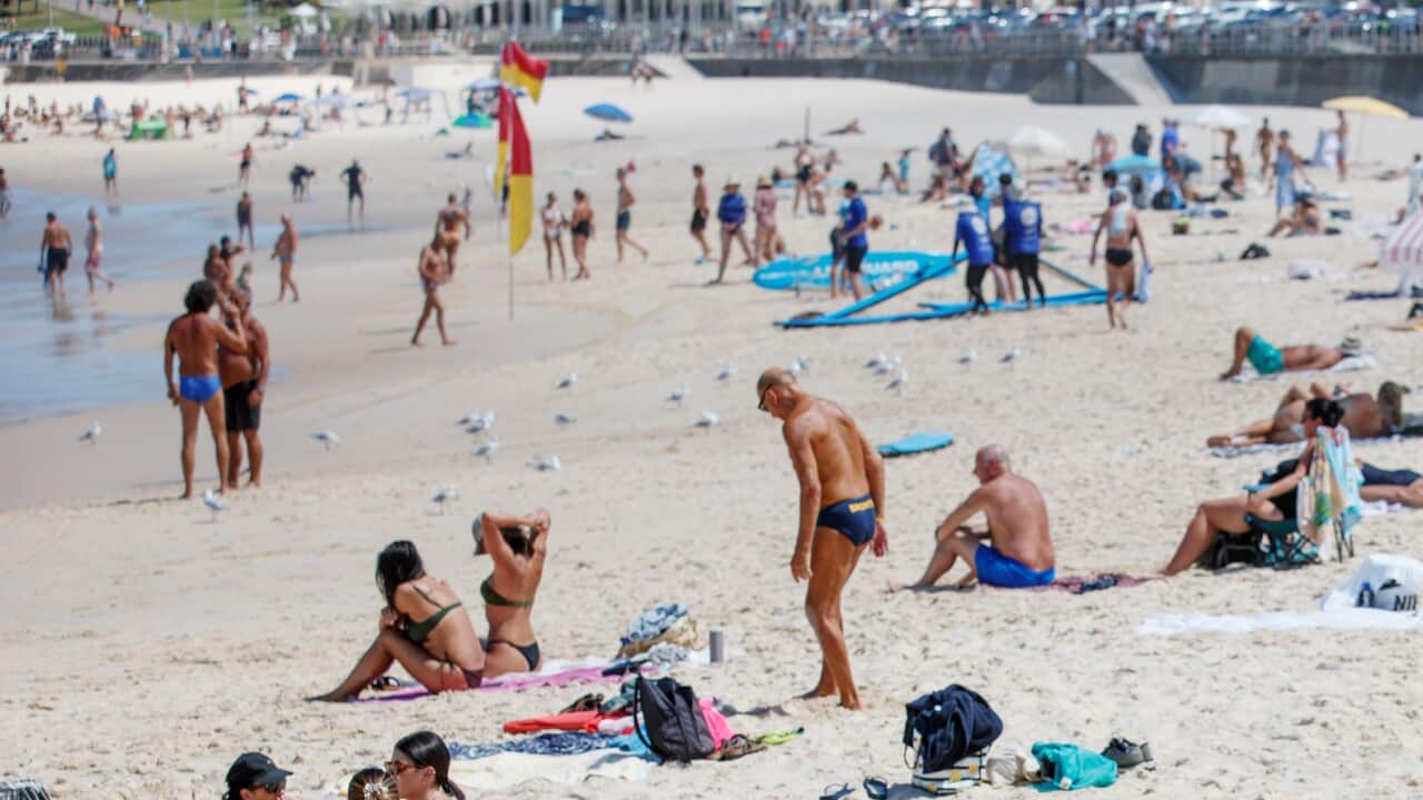 Image for read more article 'READ MORE'