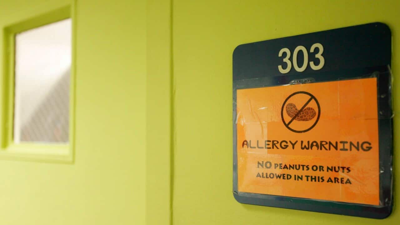 Peanuts and Nuts Banned at School