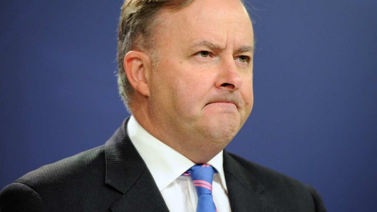 Shadow Minister for Infrastructure and Transport Anthony Albanese