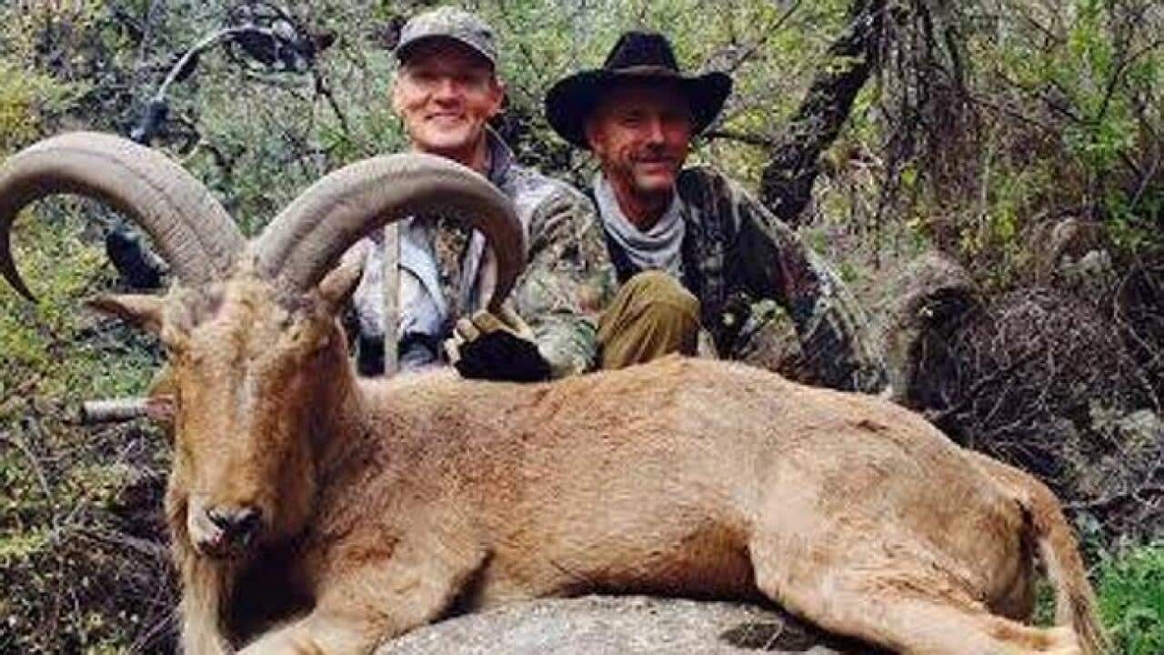 Image for read more article 'READ MORE'