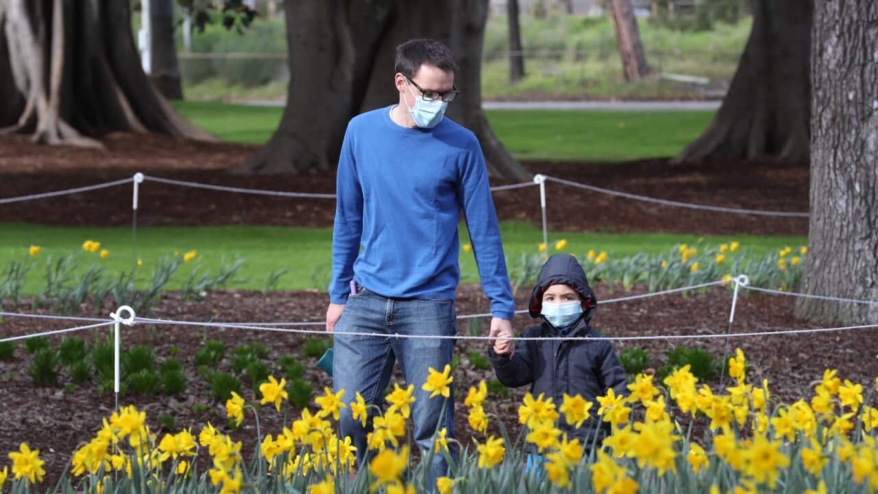 Image for read more article 'Veja ainda:'