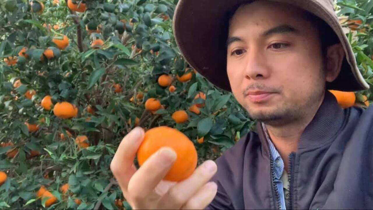 Cuong Horticulturist.jpg