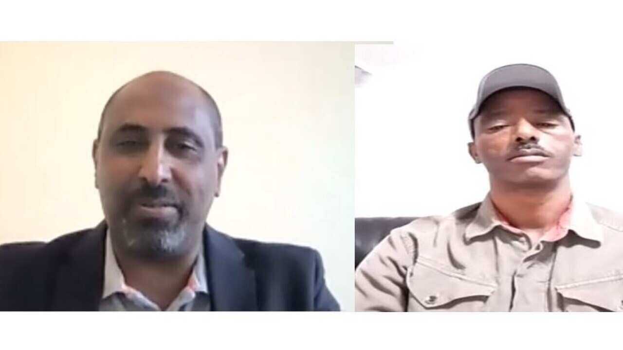 Eritreans about the war in Ethiopia opinion