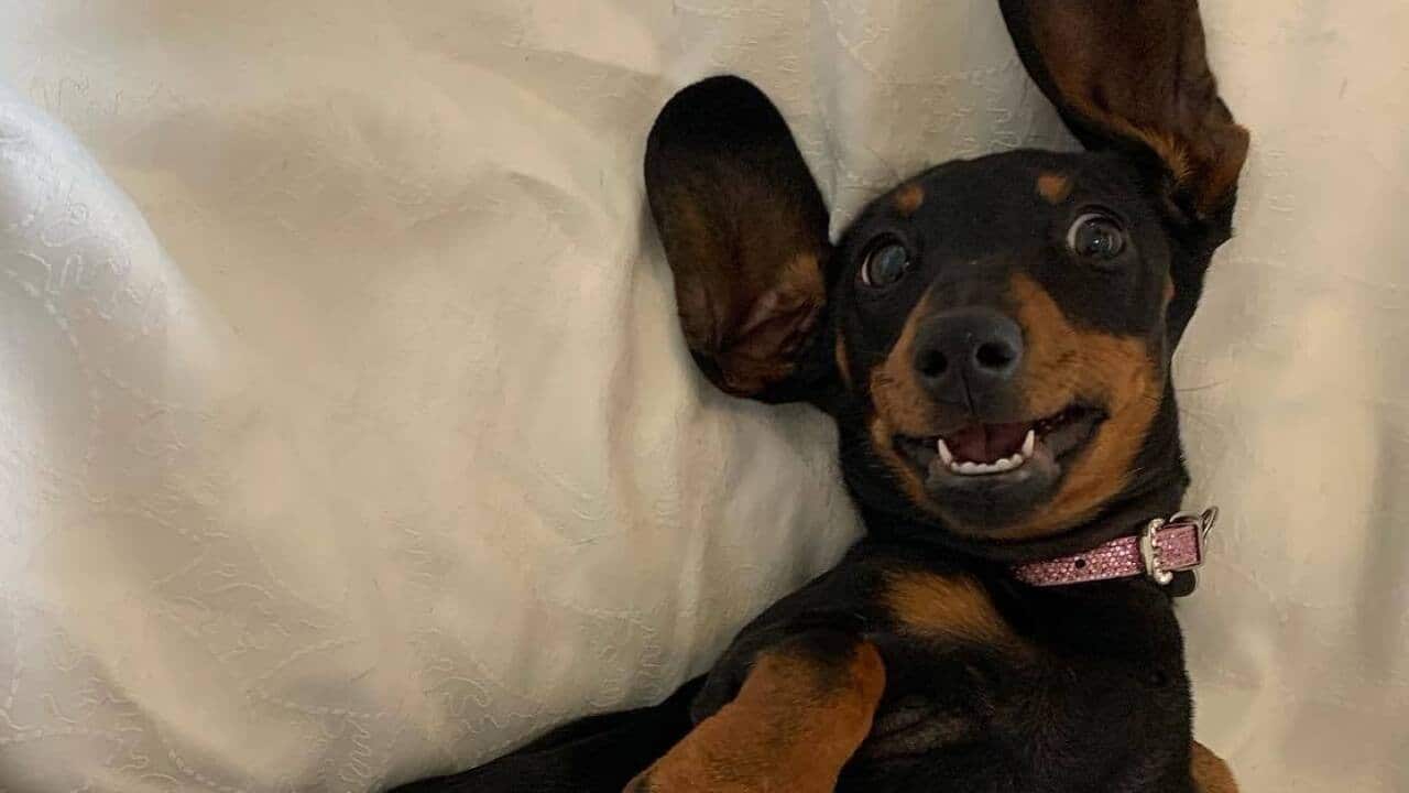 Image for read more article 'READ MORE'