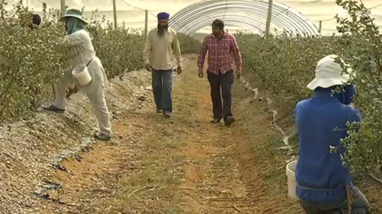 29-07-2014 6-43-20 AM.png