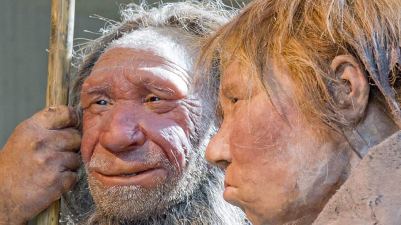 An artwork of prehistoric Neanderthal man "N", left.