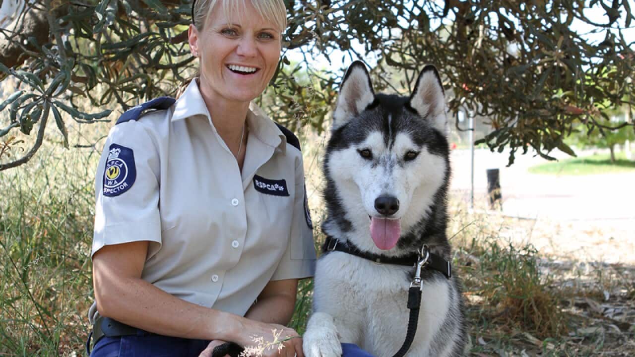 WA inspector Sam with 15-month-old Husky called Lucky