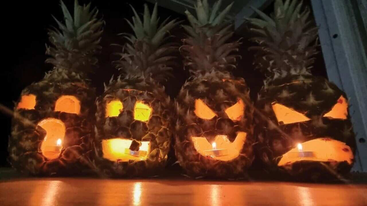 spooky pines.jpg