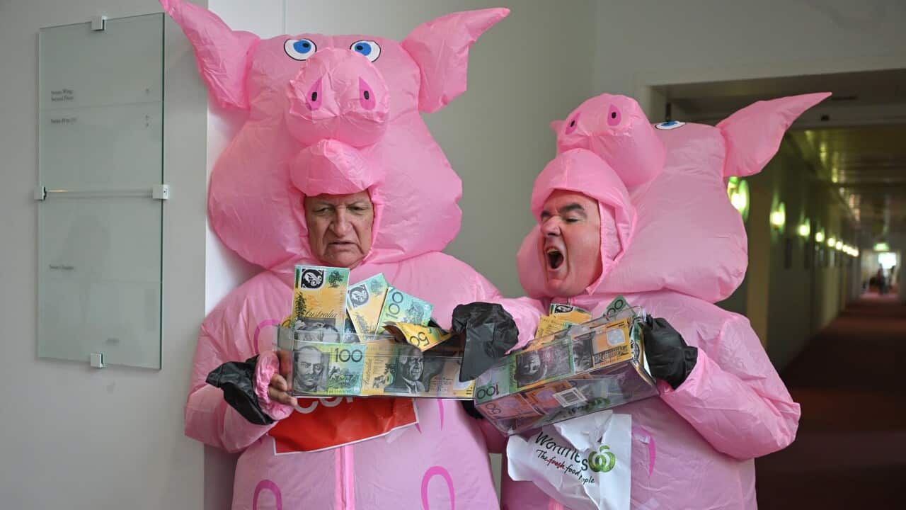 BOB KATTER ANDREW WILKIE SUPERMARKET PIGS