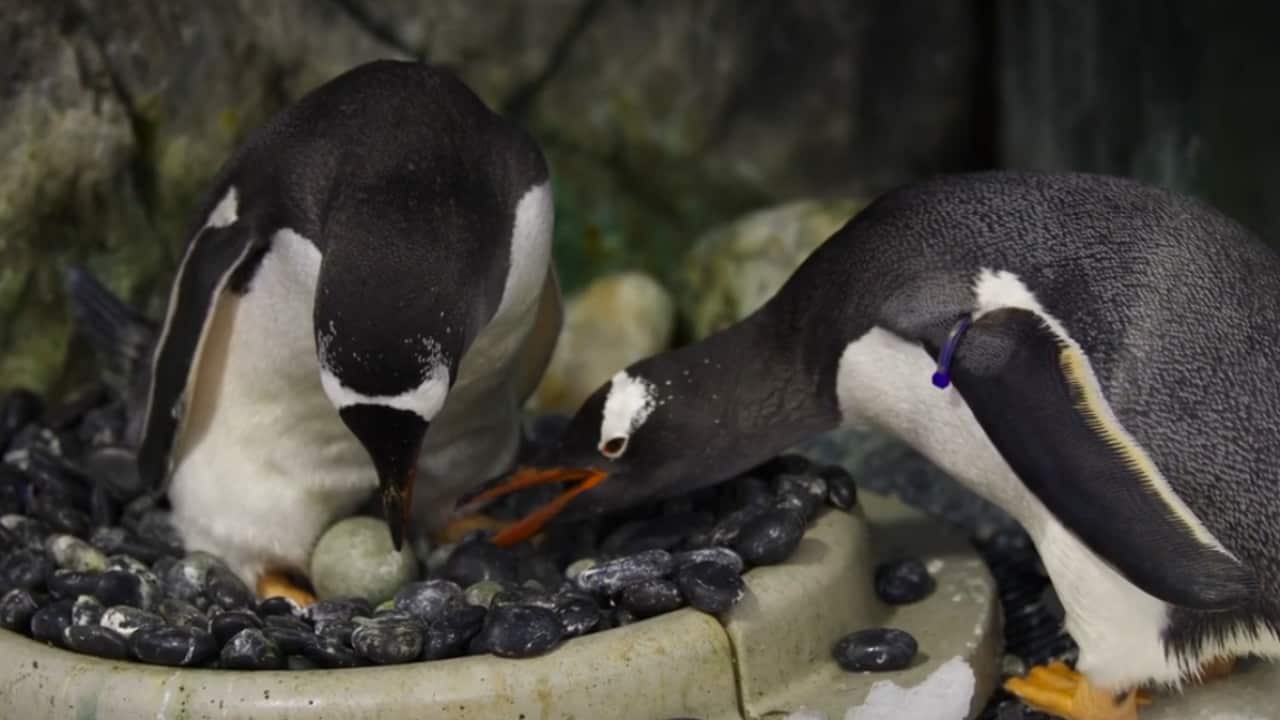 Image for read more article 'RECOMMENDED'