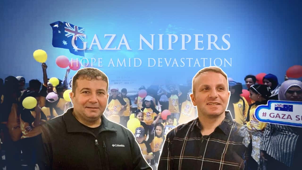 GAZA NIPPERS HEADER 221025.png