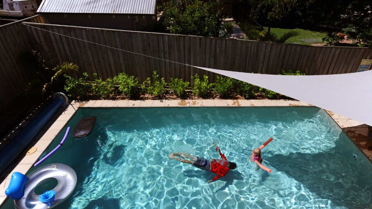 Swimmers in a back yard pool