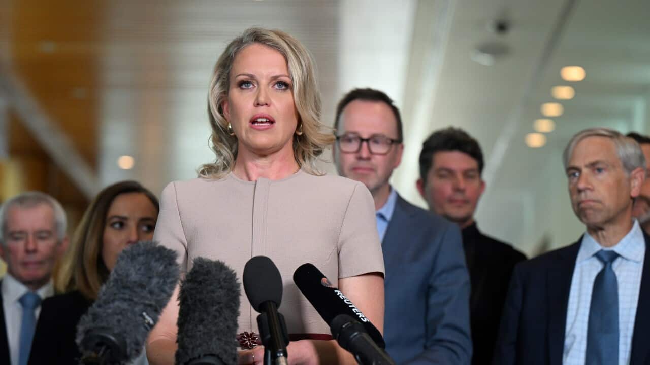 Julian Assange's lawyer Jennifer Robinson speaking at Parliament House in Canberra.