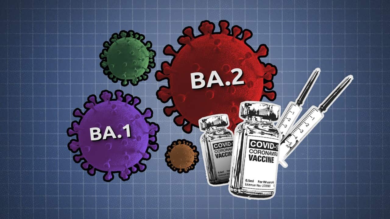 Omicron BA.2 subvariant