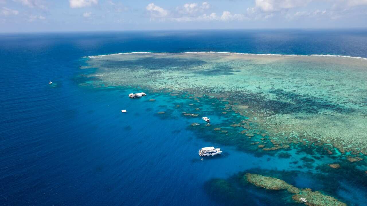 Image for read more article 'اقرأ أيضاً'