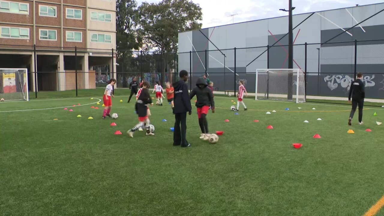 The Fitzroy Lions training (SBS).jpg