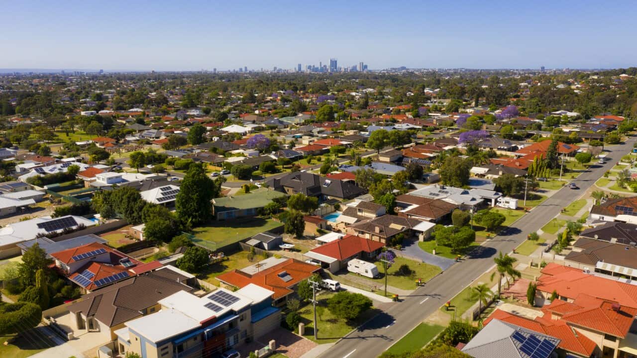 Image for read more article 'READ MORE'