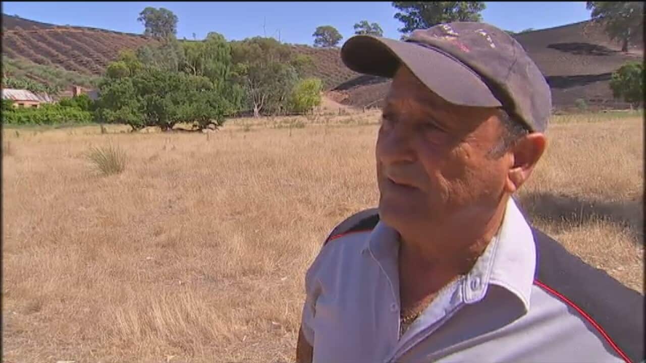 Italian farmer and grandfather of 12, Ross Calabria says his family property and inheritance was engulfed by the Adelaide Hills bushfire. He speaks with SBS's Karen Ashford.