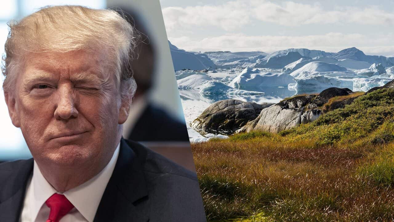 trump greenland