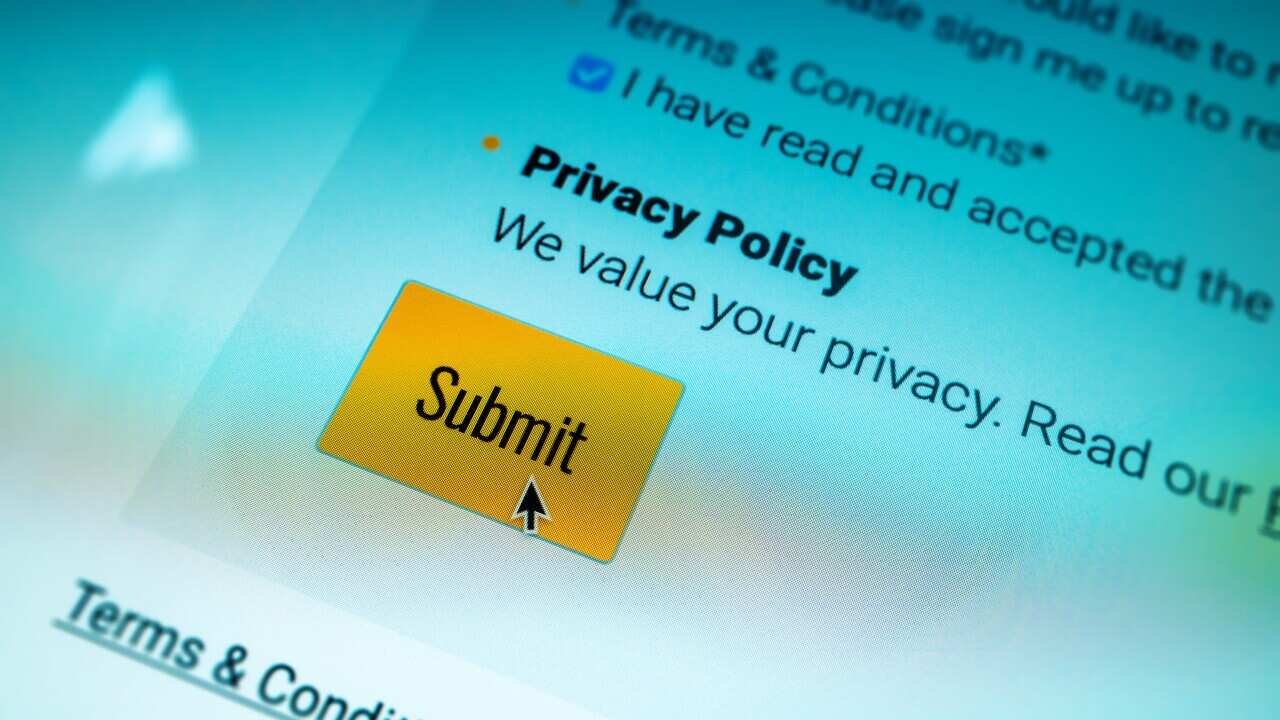 Privacy policy submit button