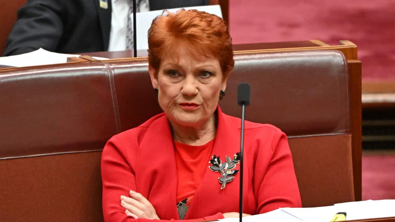 Pauline Hanson refuses to back down over Mehreen Faruqi comment| SBS News | SBS News