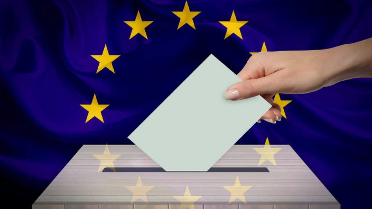 european elections
