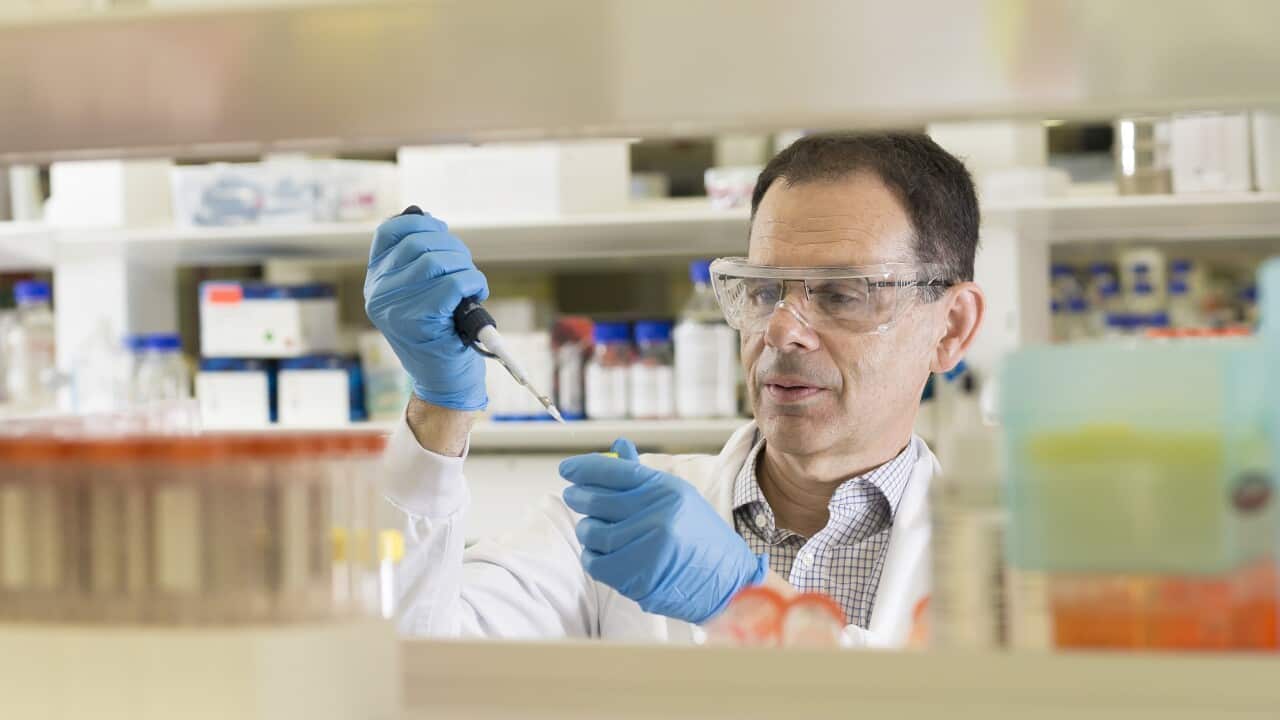 Professor Tony Weiss AM