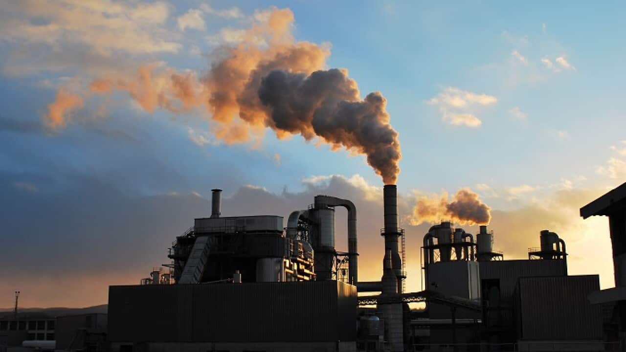 Industrial smoke