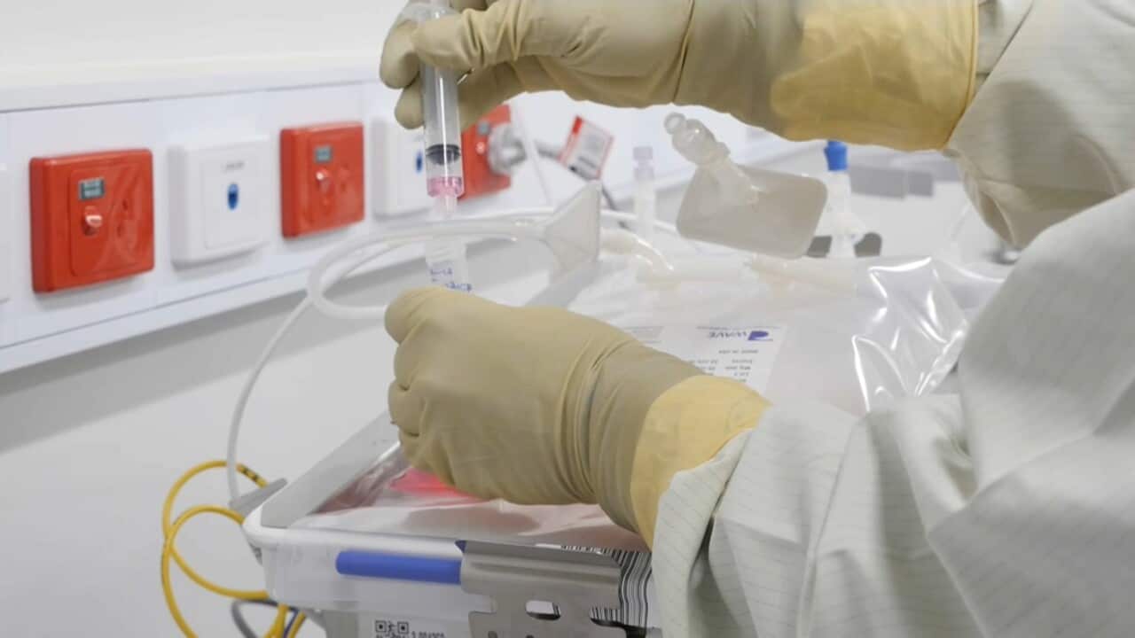 Production of the therapy is to begin at the Cell Therapies facility within the Peter MacCallum Cancer Centre